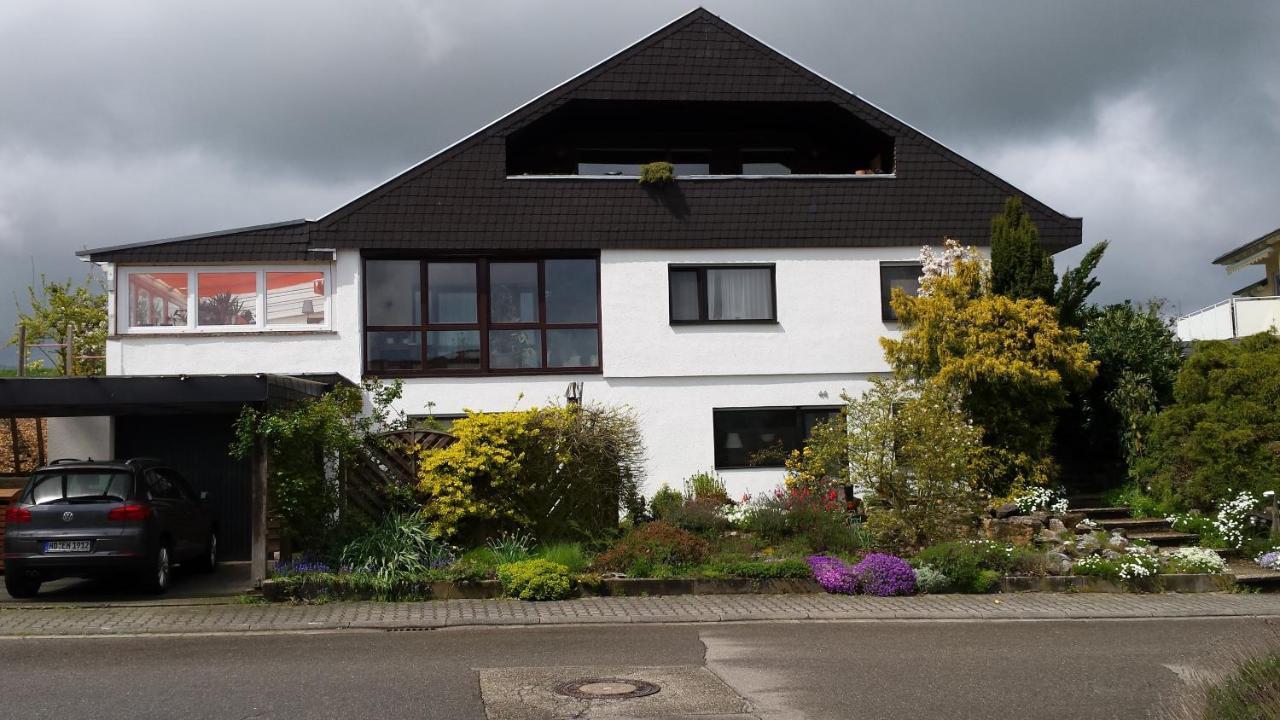 Ferienwohnung Urlaub Im Kraichgau Sinsheim Esterno foto